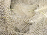 Hareline Mallard Flank Feathers