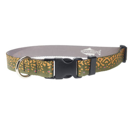 Rep Your Water Dog Collar Brook Trout