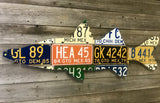 Cody's Fish License Plate Creations - Snook