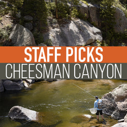 Staff Picked Trout Flies - Cheesman Canyon